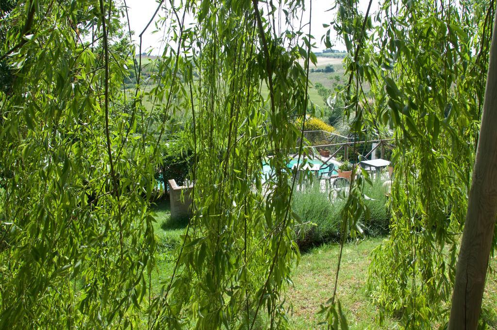 Agriturismo Quartopodere Magliano in Toscana Extérieur photo