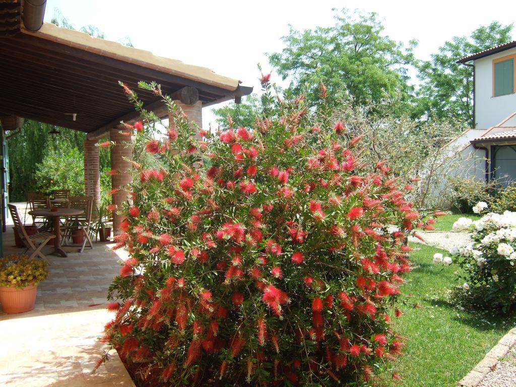 Agriturismo Quartopodere Magliano in Toscana Extérieur photo